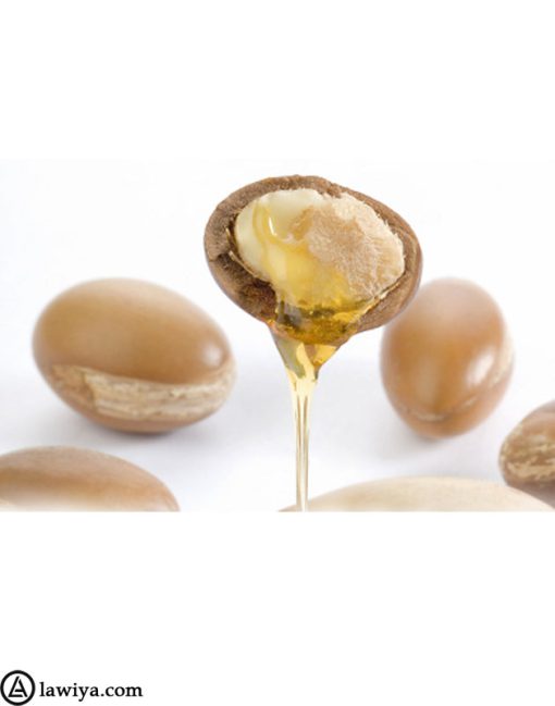 روغن آرگان درمانی تقویت مو وان ان اونلی اصل آمریکا One 'n Only Argan Oilحجم 100 میل