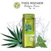 شامپو تصفیه کننده موهای چرب ایوروشه اصل فرانسه Yves Rocher Purity2